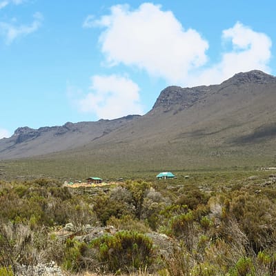 Kilimandzsáró, túra a Shira platóra – Tüske Ágnes írása
